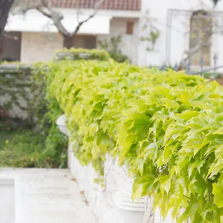 La Di Lella Vila *